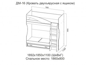 ДМ-16 Кровать двухъярусная с ящиком в Сысерти - sysert.magazin-mebel74.ru | фото