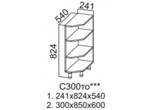 С300то Стол-рабочий 300 (торцевой открытый) в Сысерти - sysert.magazin-mebel74.ru | фото