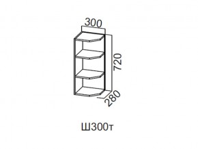 Ш300т/720 Шкаф навесной 300/720 (торцевой) в Сысерти - sysert.magazin-mebel74.ru | фото