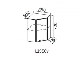 Ш550у/720 Шкаф навесной 550/720 (угловой) в Сысерти - sysert.magazin-mebel74.ru | фото