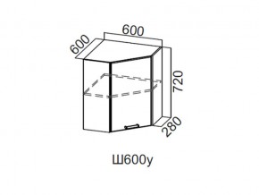 Ш600у/720 Шкаф навесной 600/720 (угловой) в Сысерти - sysert.magazin-mebel74.ru | фото