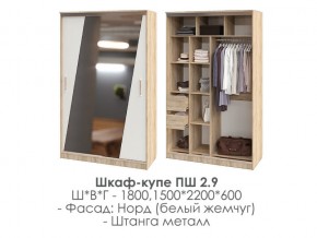 шкаф-купе ПШ-2.9 1500 Норд Белый жемчуг 1500 в Сысерти - sysert.magazin-mebel74.ru | фото