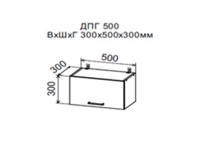 Шкаф верхний ДПГ500 горизонтальный в Сысерти - sysert.magazin-mebel74.ru | фото