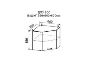 Шкаф верхний ДПУ600 угловой в Сысерти - sysert.magazin-mebel74.ru | фото